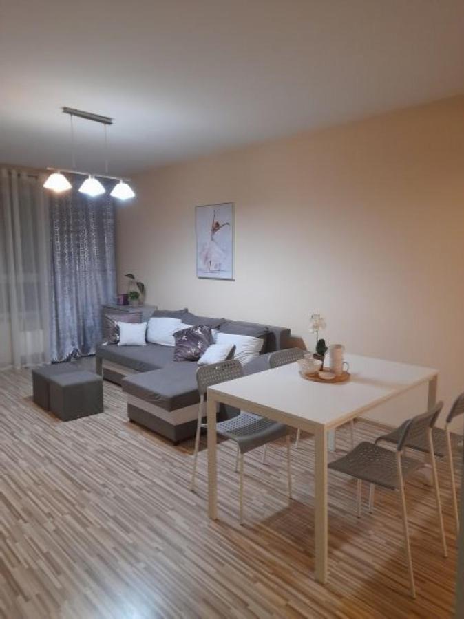 H&s Piaseczno Darmowy Parking Wi-fi Apartament *